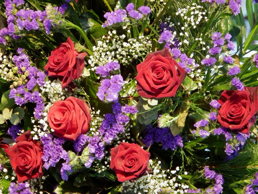 590616 (a): :2560x1920